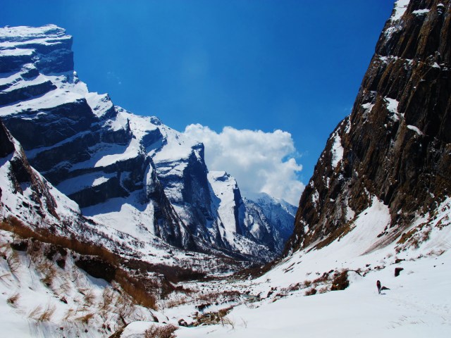 High altitude habitat near Macchapuchre Base Camp, at around 3,600 meters above sea level. Birds were scarce up here in the snow but did include a scattering of interesting species including Himalayan Monal.