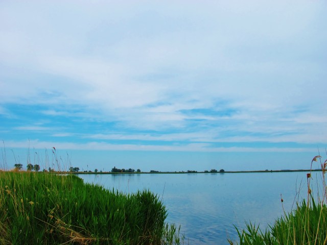 The marshes at Hortobagy-Halasto, a fantastic area for wetland birds.