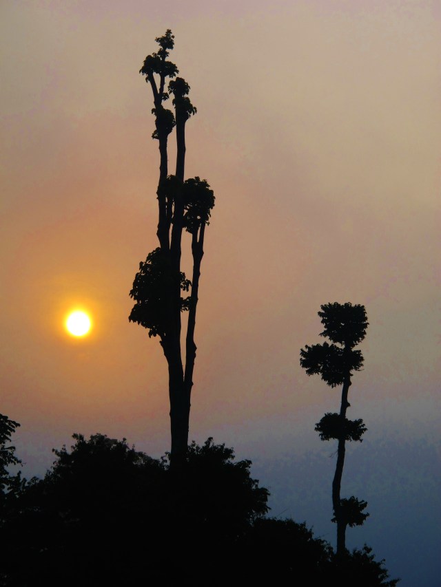 The sun burning off the early morning mist, alongside the river at the research center.