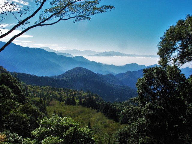 dasyueshan-alpine-meadows