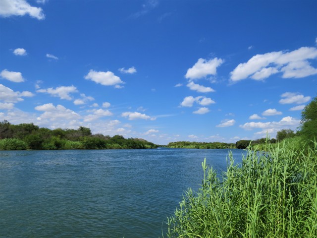 Rio Grande at Salineno
