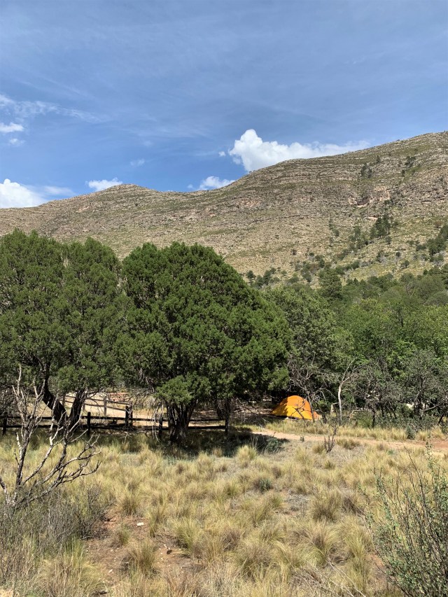 Dog Canyon campsite